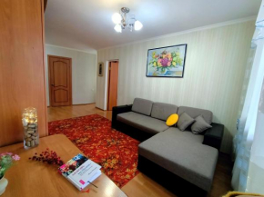 2-х комнатные апартаменты на Назарбаева 65